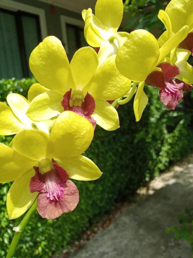 Blue Orchid Beach Krabi - Sha Certified Ao Nam Mao Eksteriør billede